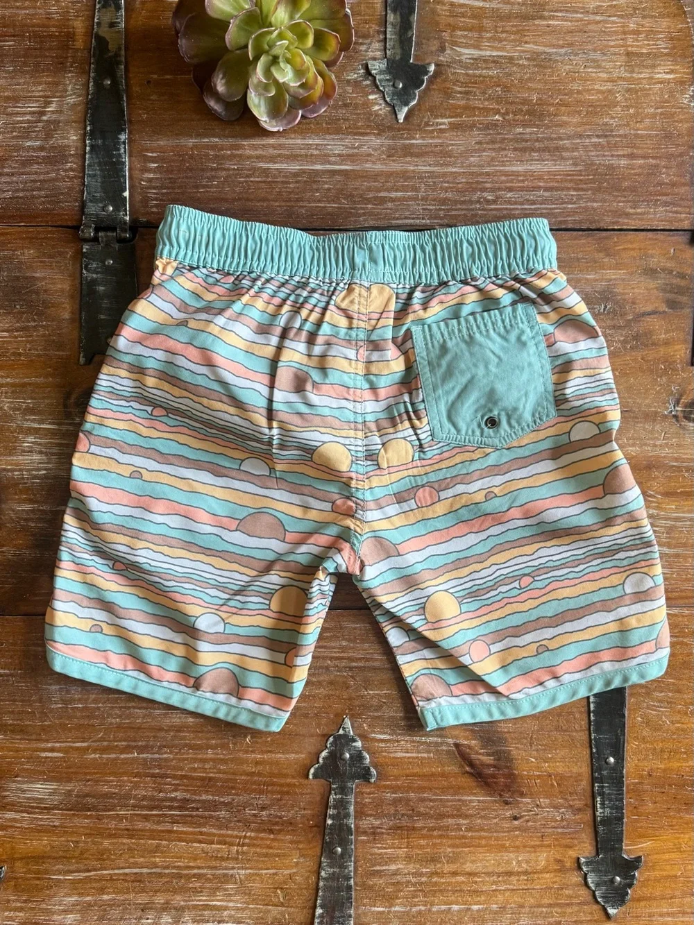 Retro Sun-Wave Swim Trunks with Mint Trim by Feather 4 Arrow